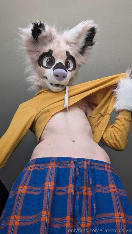 catexclusive image #0