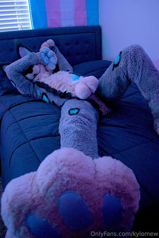 I'm so exhausted after this weekend, can you rub my paws?   ..