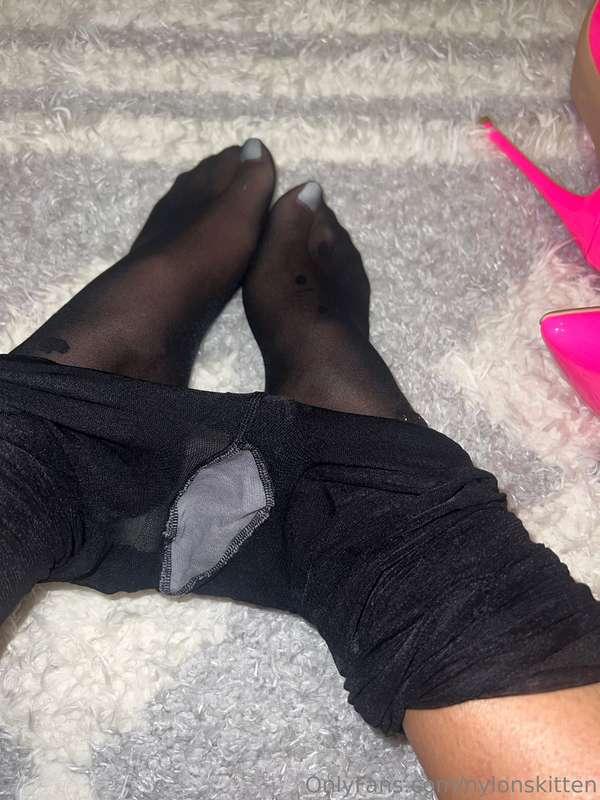 nylonskitten image #1