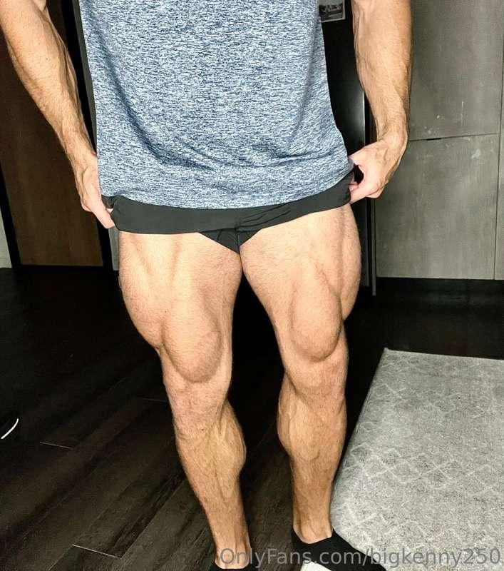 TREE TRUNKS