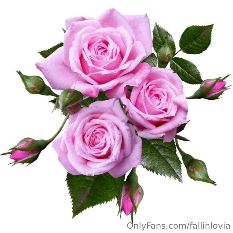 How Many Flowers Do I Deserve Today?? 🌸💐  🌷TIP $5 = 1 🌼🌼🌼 TI..
