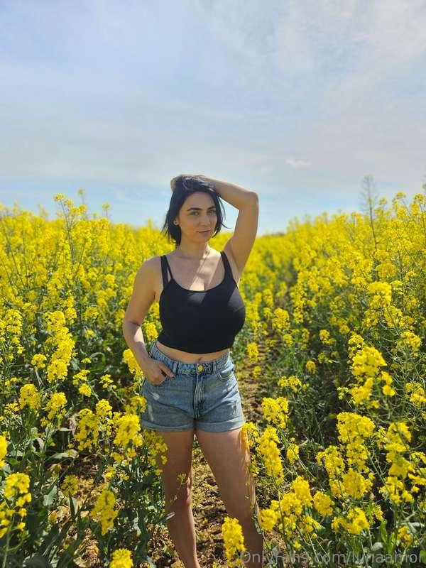 Luna in the rapeseed field ☺️