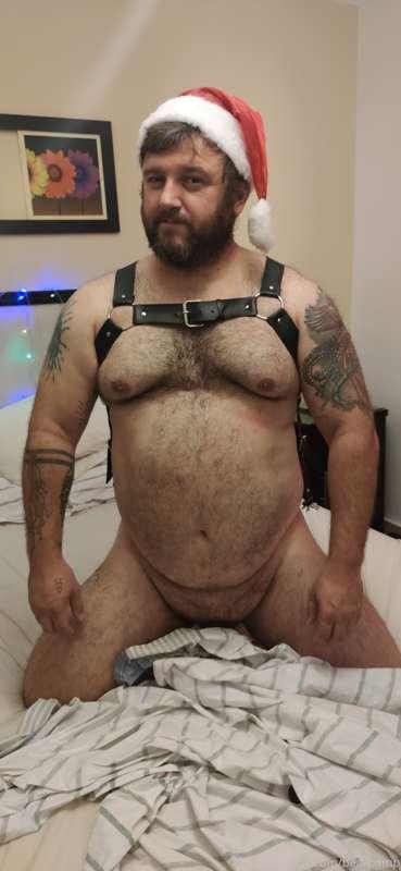 bearpamp image #1