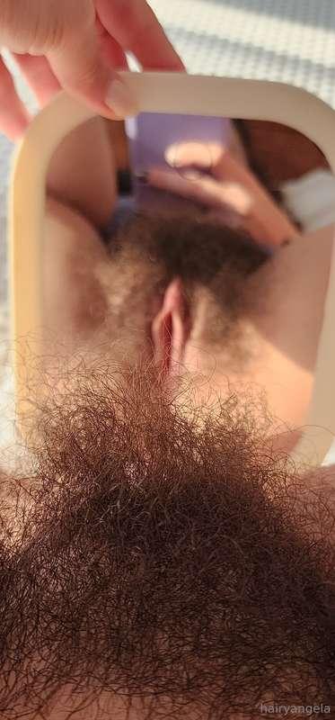 hairyangela image #0