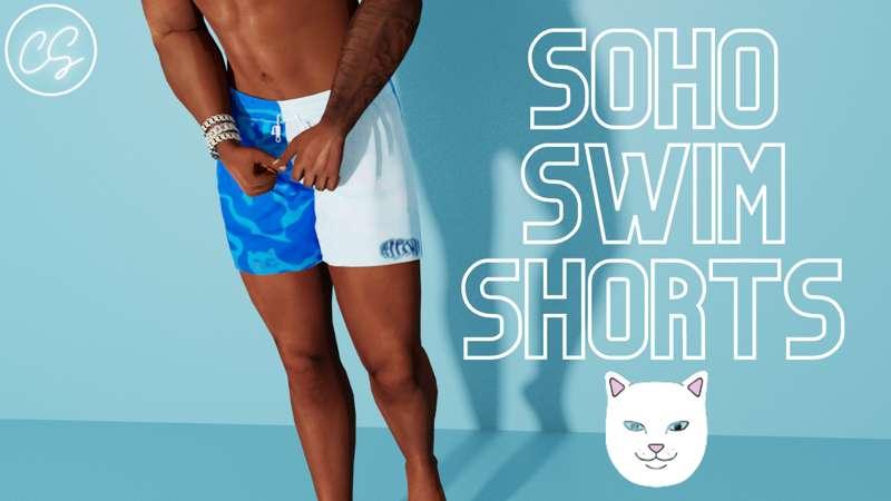 Soho Swim Shorts