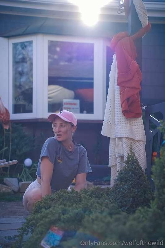 wolfofthewild image #0