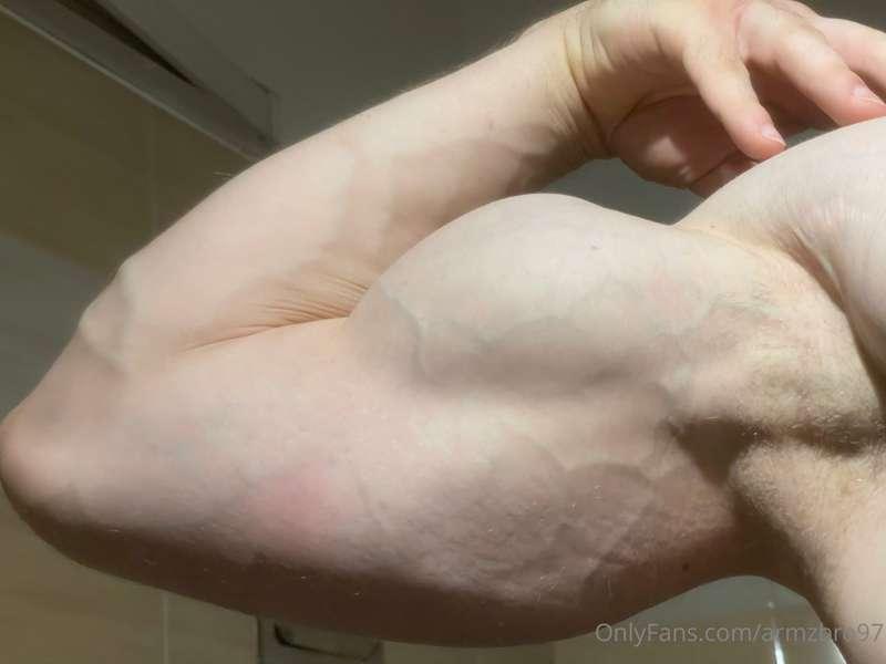 armzbro97 image #0
