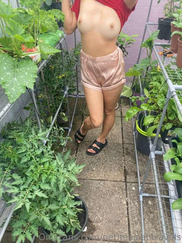 🍓