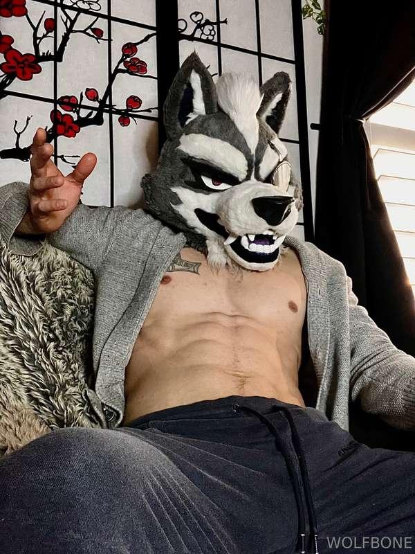 frute_brute image #0