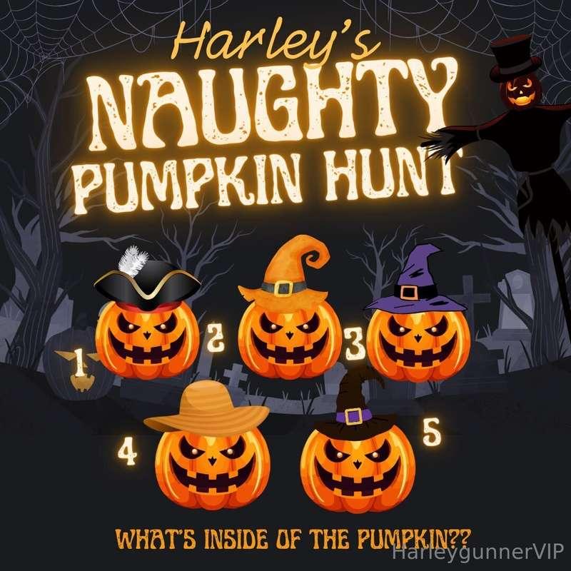 👻 𝐇𝐀𝐑𝐋𝐄𝐘’𝐒 𝐍𝐀𝐔𝐆𝐇𝐓𝐘 𝐏𝐔𝐌𝐏𝐊𝐈𝐍 𝐇𝐔𝐍𝐓 🎃𝐄𝐯𝐞𝐫𝐲 𝐩𝐮𝐦𝐩𝐤𝐢𝐧 𝐡𝐢𝐝𝐞𝐬 𝐬𝐨𝐦𝐞𝐭𝐡𝐢..
