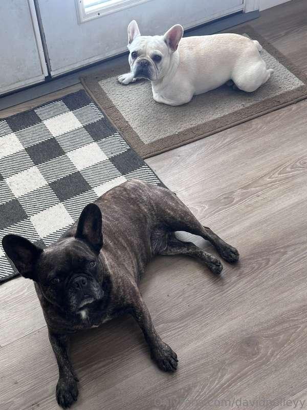 Two little potatoes 🥔 🥔 chillin haha. 