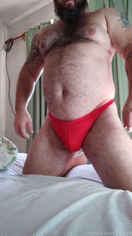 bearpamp image #0
