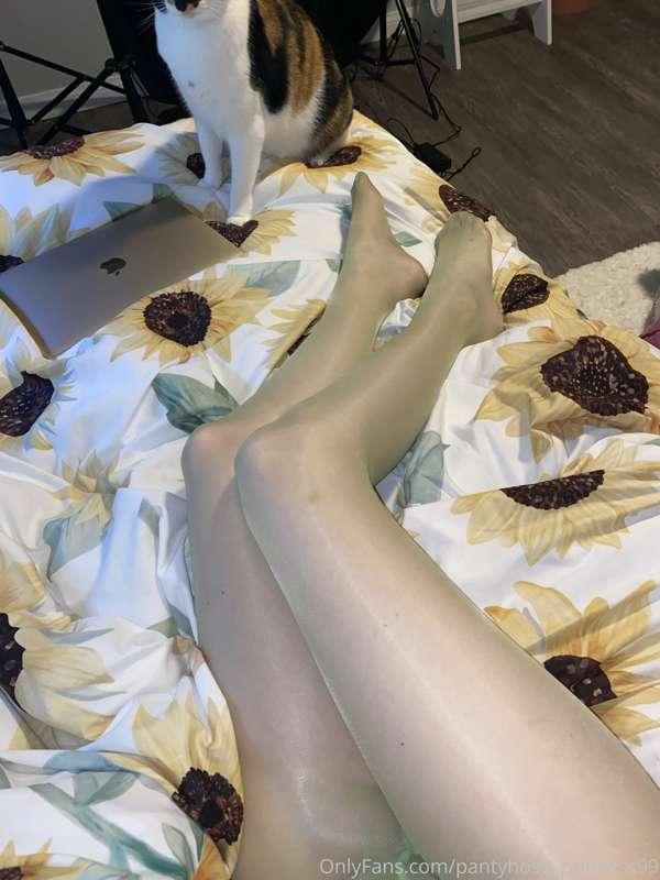 pantyhose_princess99 main image
