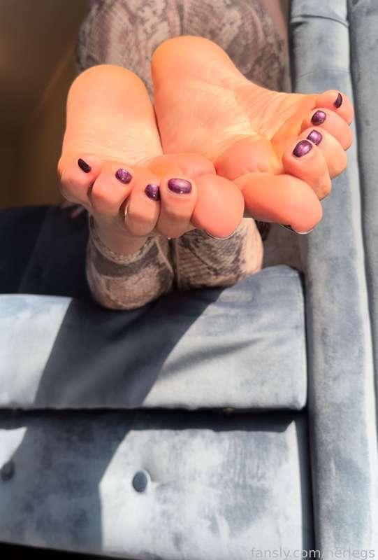 herlegs image #1