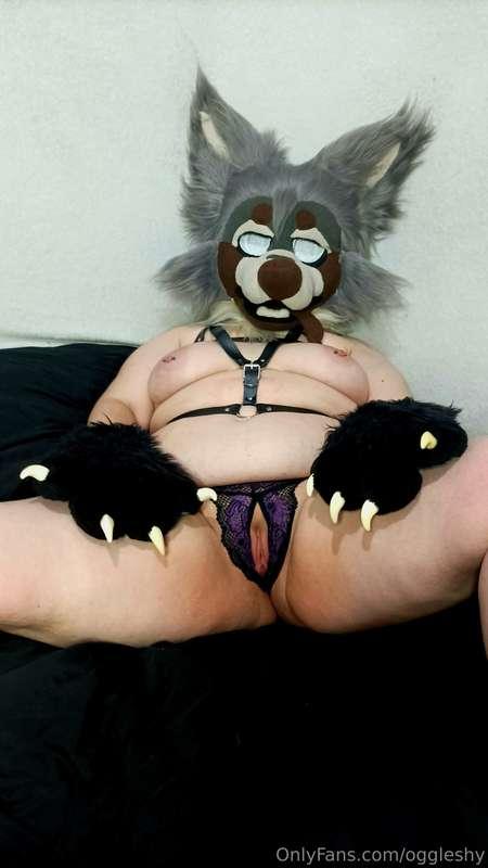 Oh this puppy is definitely primed and ready