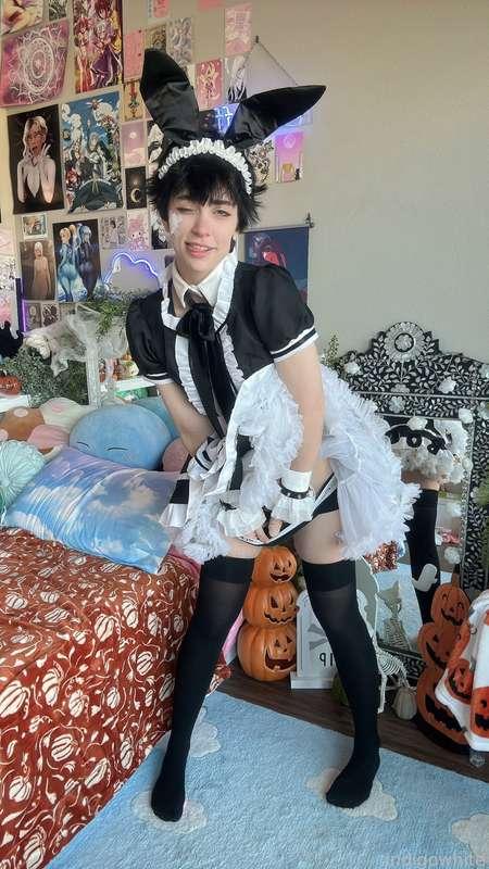 indigowhite image #73