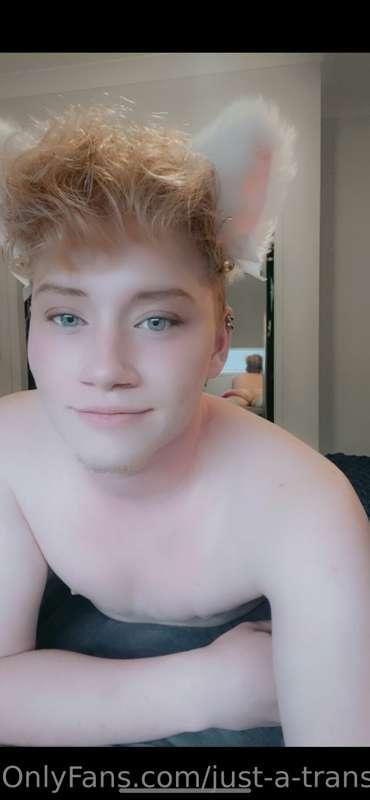 just-a-trans-guy image #2