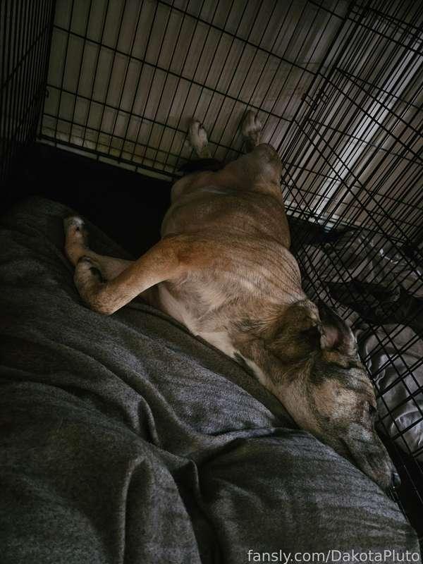 dakotapluto image #1