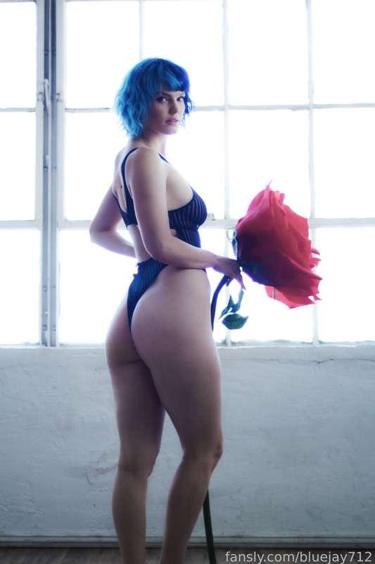 bluejay712 image #6