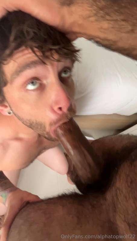 alphatopwolf22 image #1