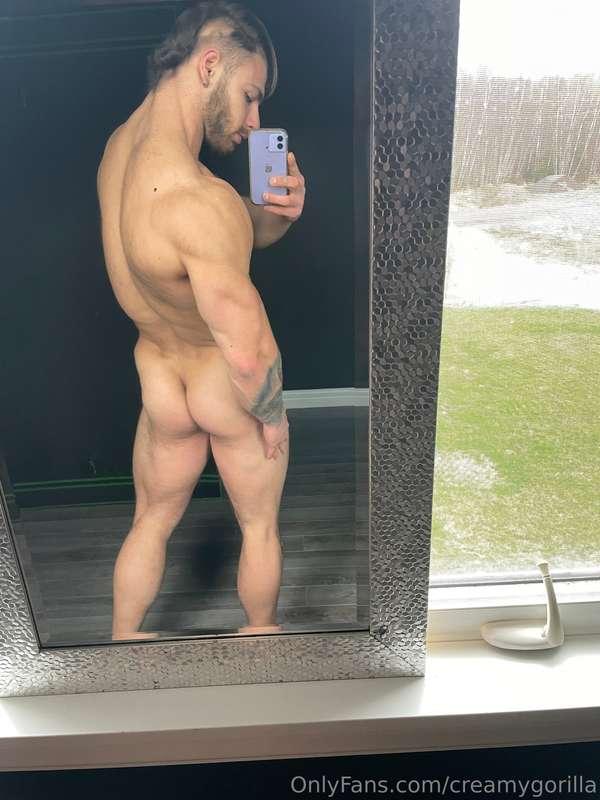 creamygorilla image #1