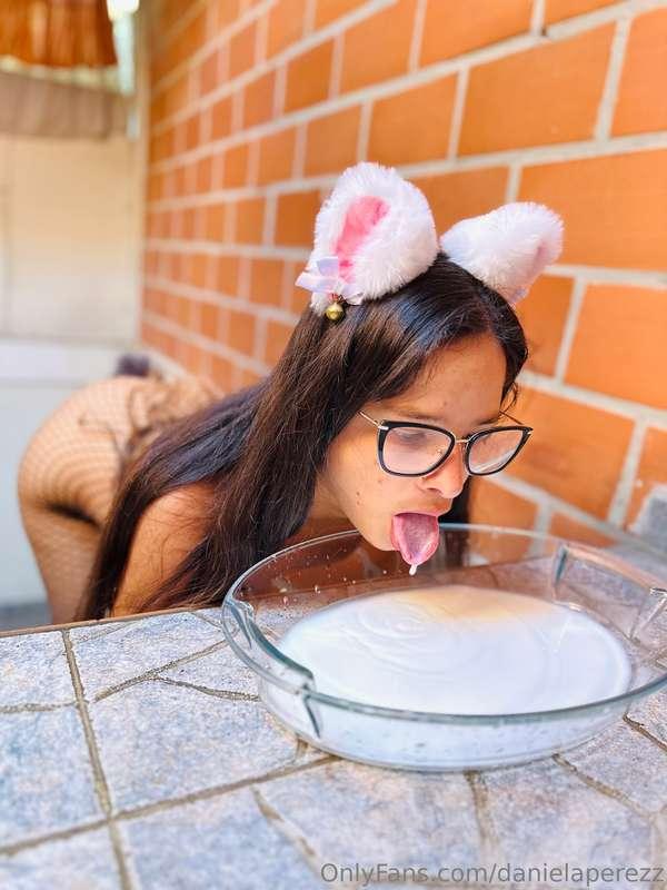 This kitten needs her milk 💦 do you want to give it to her? ..