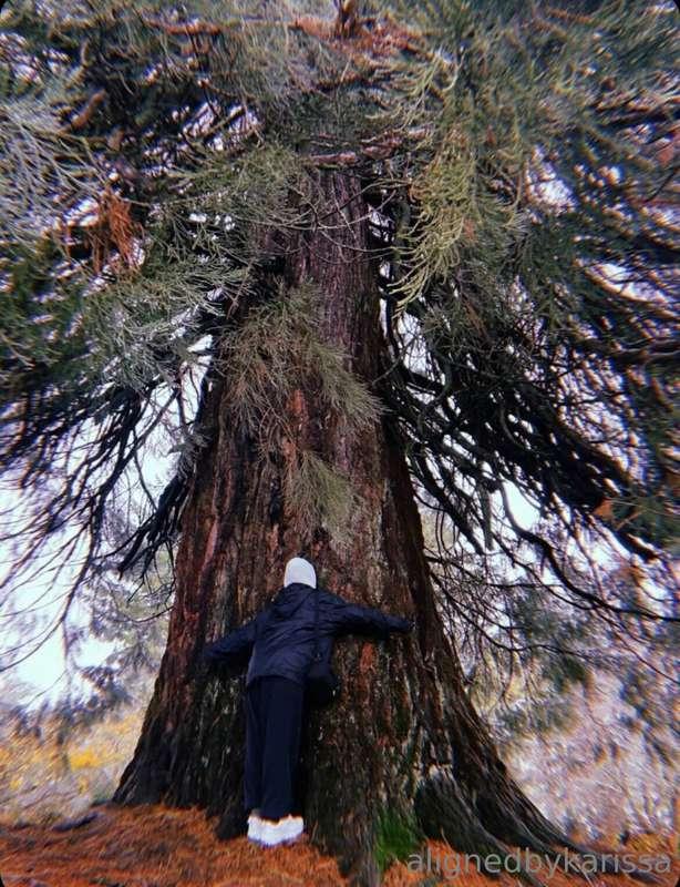 I am a tree hugger 🌲🤍
Step outside today and give thanks to ..