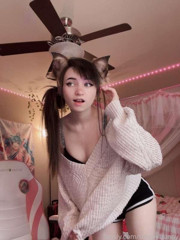 sleepybunny image #0