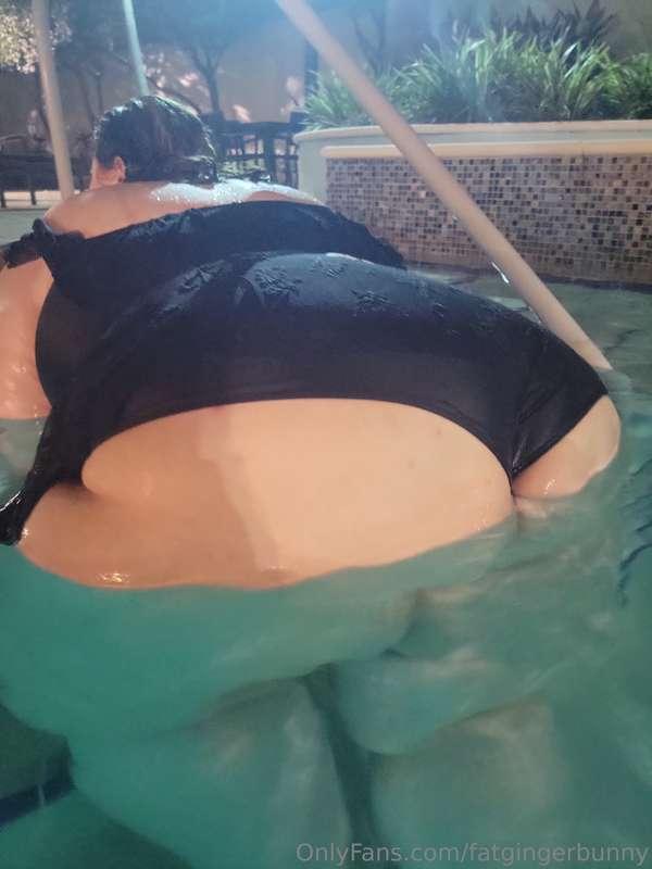 fatgingerbunny image #1