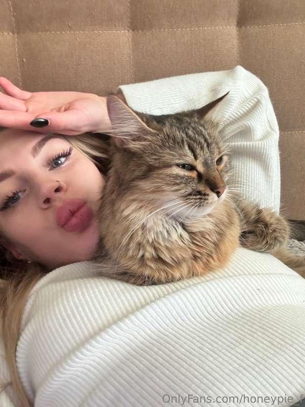 Hey cat lovers out there! I have a question for you if you o..