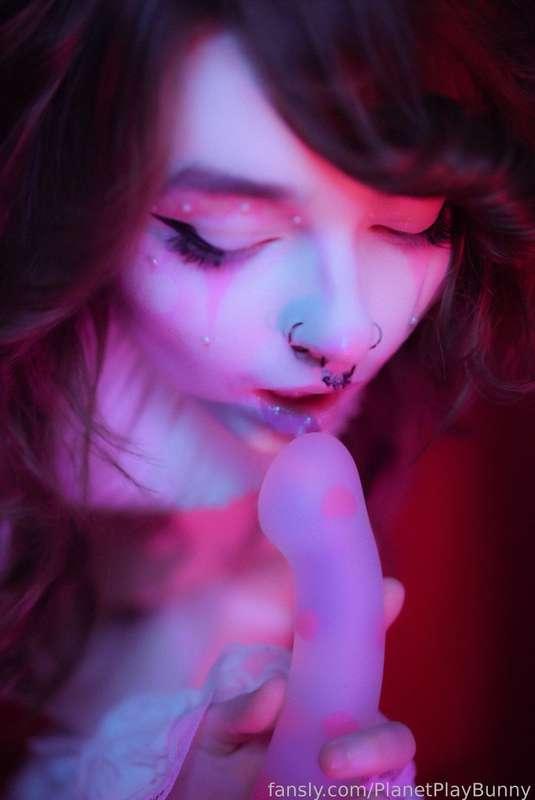 planetplaybunny image #1