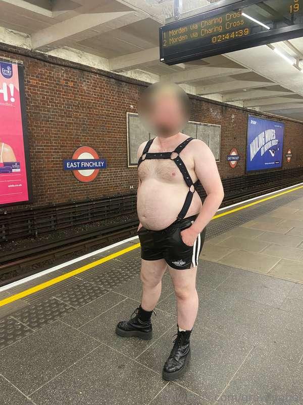 don't mind me, just being fat in the wild