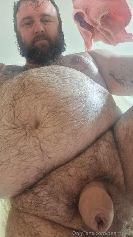 bearpamp image #0