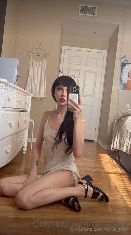 coral_reef main image