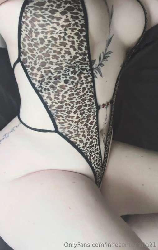 🐆🐆