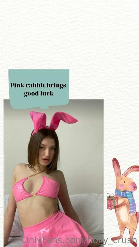 #HollyCrush👀💋Has the rabbit come to you yet?🉐💖💖💖
