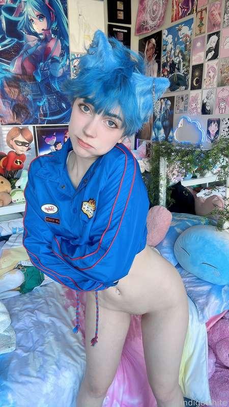 indigowhite image #184