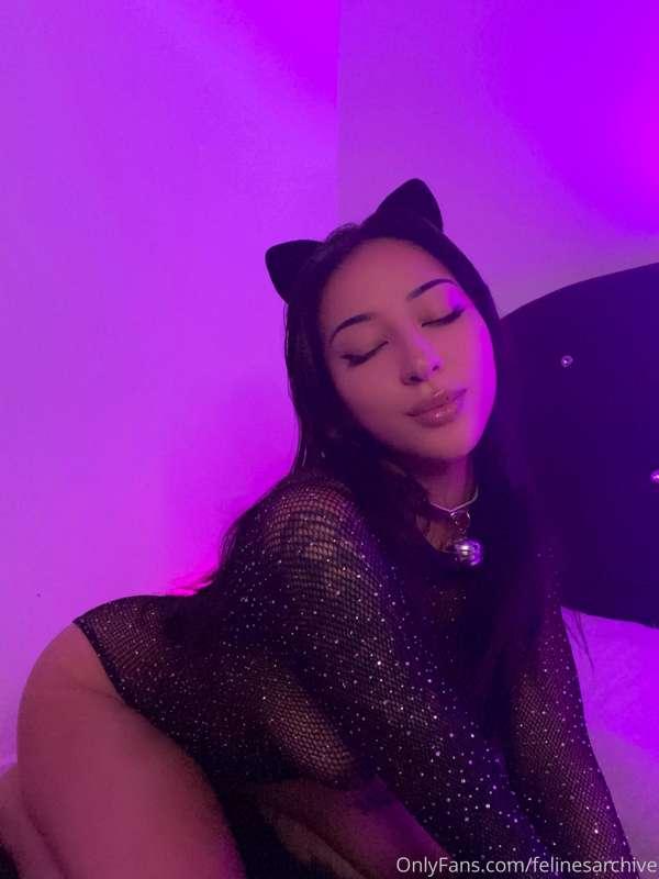 purrr 🐾 (swipe for some ASMR action)