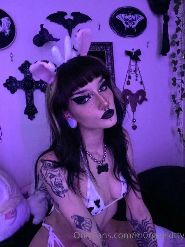 who wants to milk me though 🤍🐮🖤