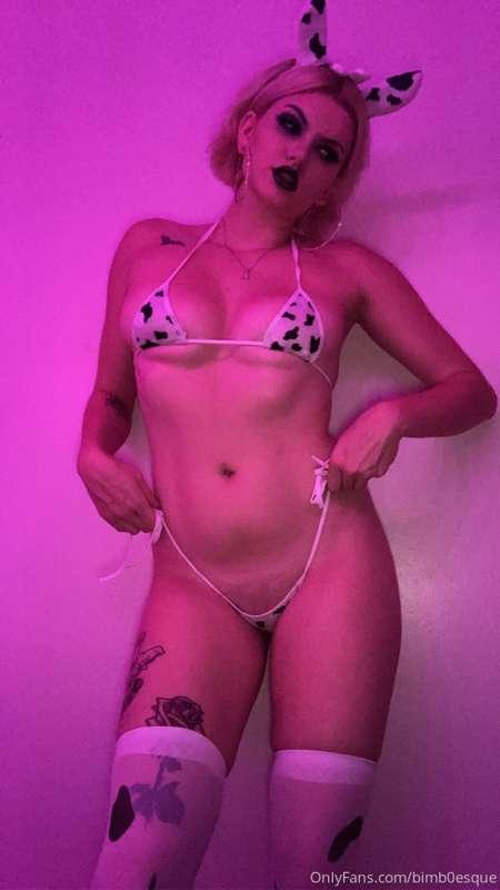 MOOOO 🐮