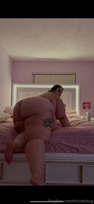thicladybug image #1