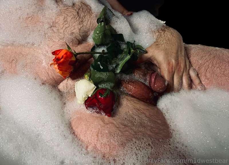 m1dwestbear image #5