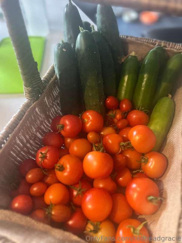 redheadgracie image #0