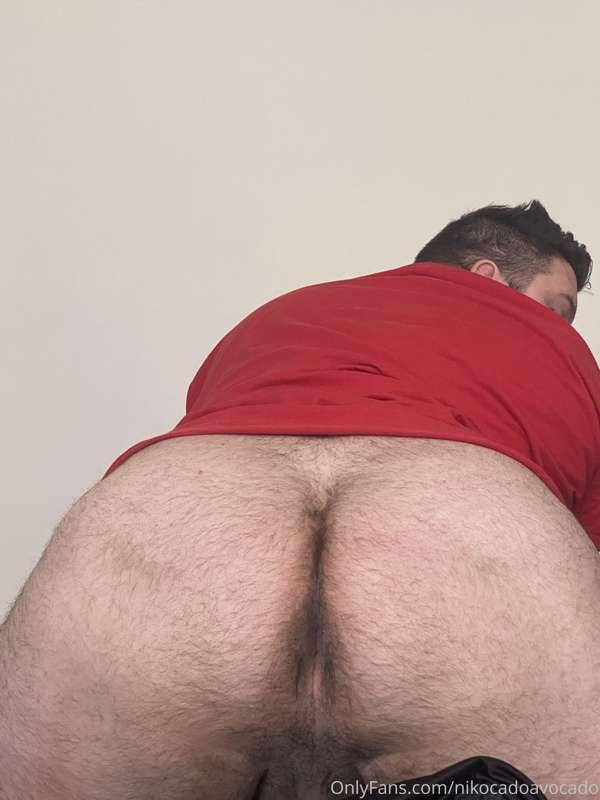 nikocadoavocado image #2