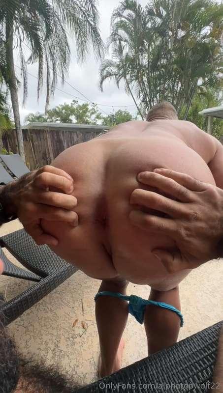 alphatopwolf22 image #8