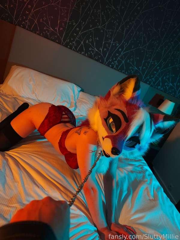 sluttymillie image #1