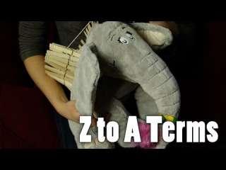 Sexual Terms: From Z to A...