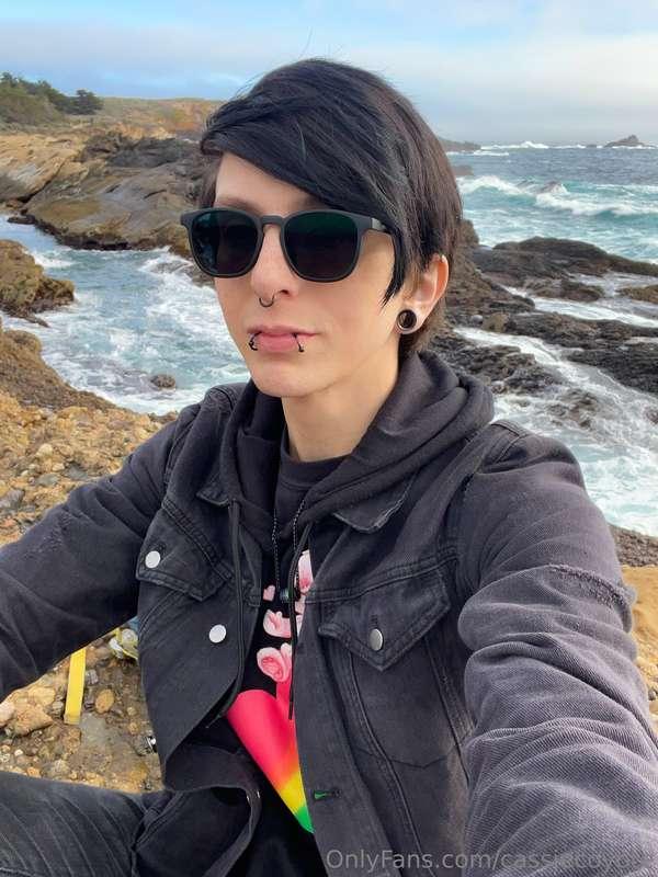 cassiecoyote image #1