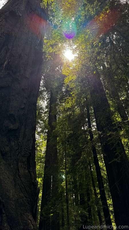 lupeandmicha image #3