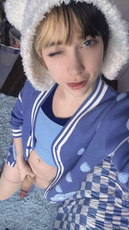 indigowhite image #102